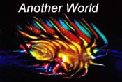 Another World