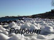 Potpourri