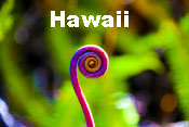 Hawaii