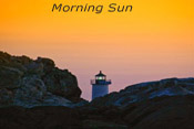 Morning Sun