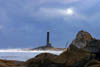 North Light at Loblolly